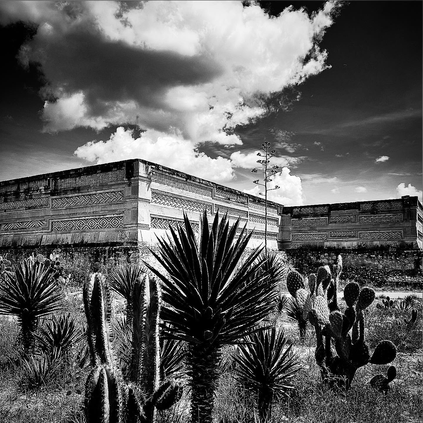 Mitla
.
.
.
.
.
#mitla #oaxaca #blackandwhite #blackandwhitephotography #photography #mexico #mexicomagico #picoftheday #instagood
