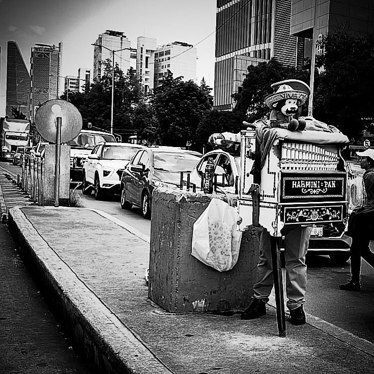 El Organillero
.
.
.
.
.
#organillero #organillerosdeméxico #mexico #mexicomagico #cddemexico #picoftheday #instagood #music