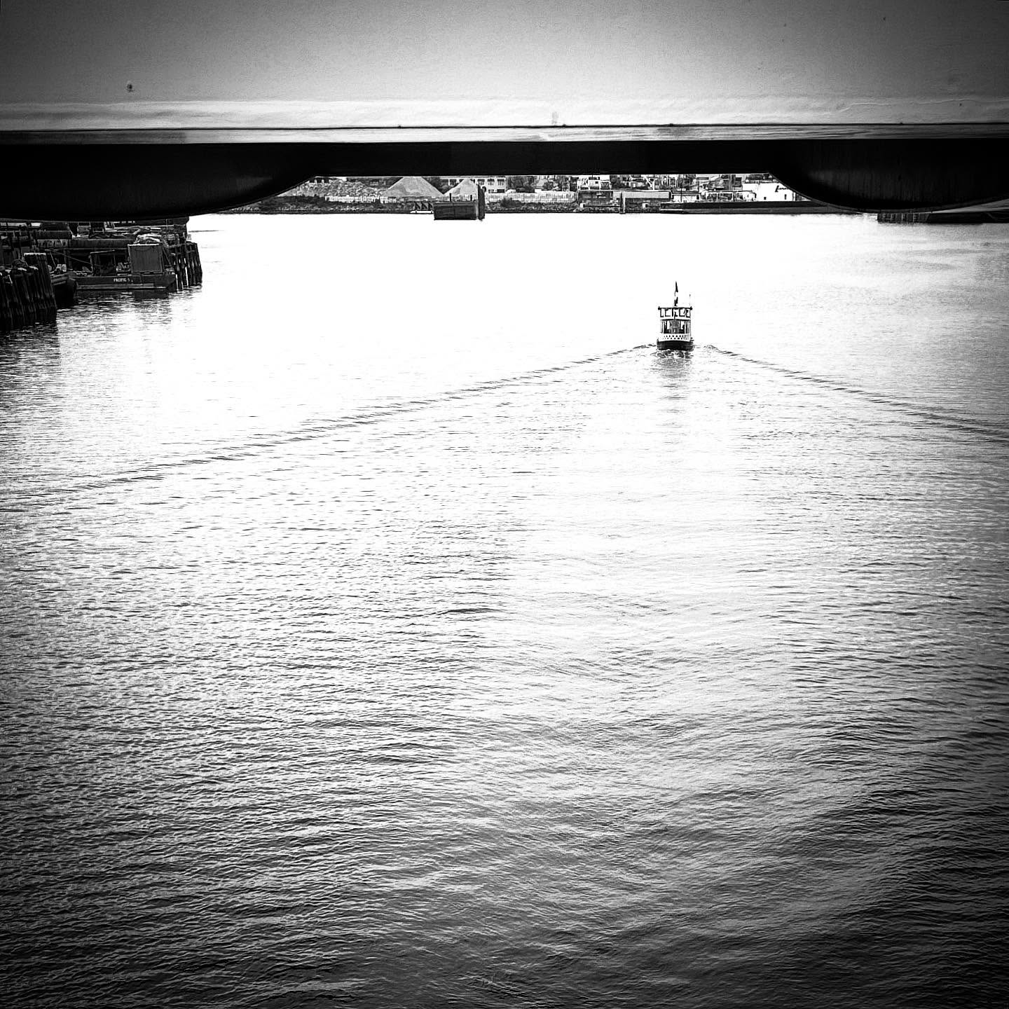 In your own direction!
.
.
.
.
.
#yyj #victoriabc #blackandwhite #blackandwhitephotography #inspiration #picoftheday #unique #composition #moment